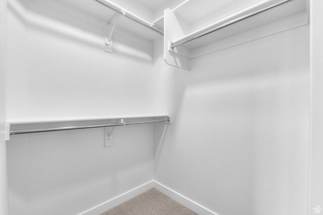 1819 N 3530 W, Lehi, UT 84043 - walk in closet featuring carpet
