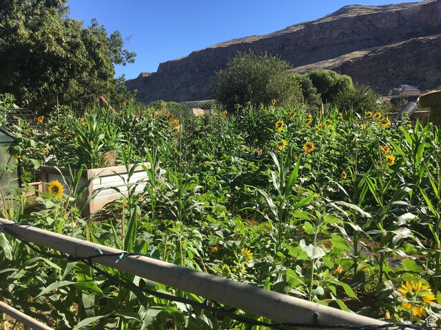 1502 S 325 W, Hurricane, UT 84737 - property view of mountains