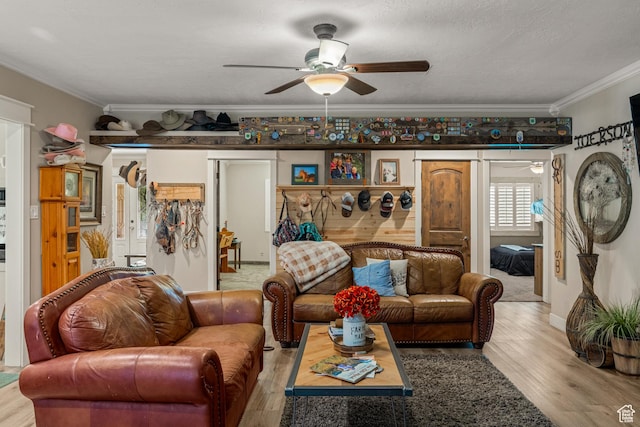 1502 S 325 W, Hurricane, UT 84737 - living room with ornamental molding, light wood-style floors, and ceiling fan