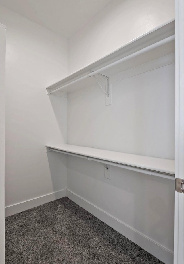 spacious closet featuring dark carpet
