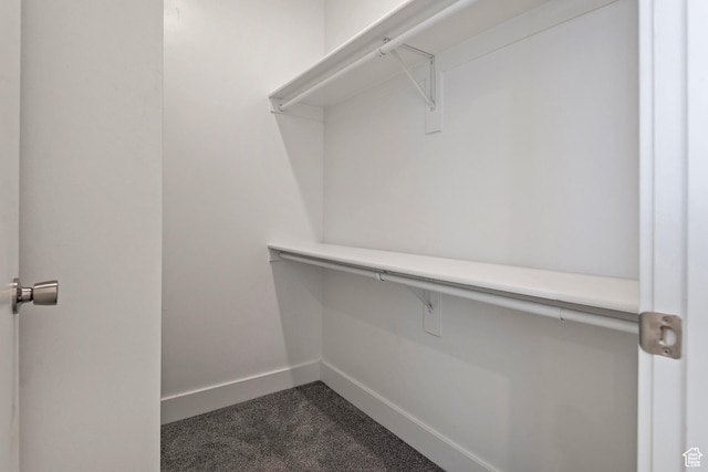 spacious closet with dark carpet