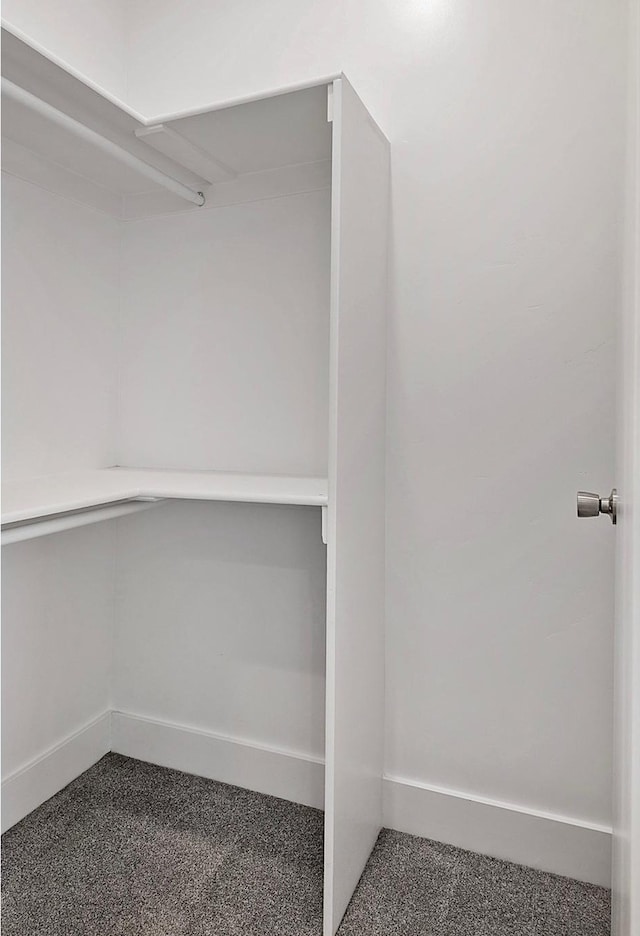 spacious closet featuring carpet floors