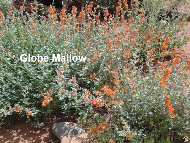 404 Cliffview Dr S Unit 404, Castle Valley, UT 84532