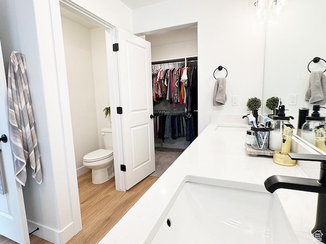 187 W 470 N, Smithfield, UT 84335 - bathroom with toilet, wood finished floors, a sink, a spacious closet, and double vanity