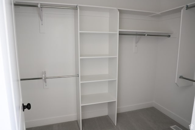 2794 E Liam Ln Unit 101, Eagle Mountain, UT 84005 - spacious closet featuring carpet