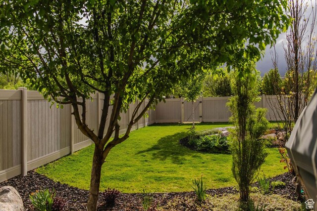 14102 S Sleepy Oaks Ln, Herriman, UT 84096 - view of yard
