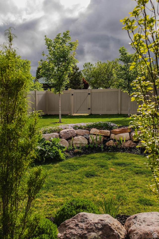 14102 S Sleepy Oaks Ln, Herriman, UT 84096 - view of yard with a gate
