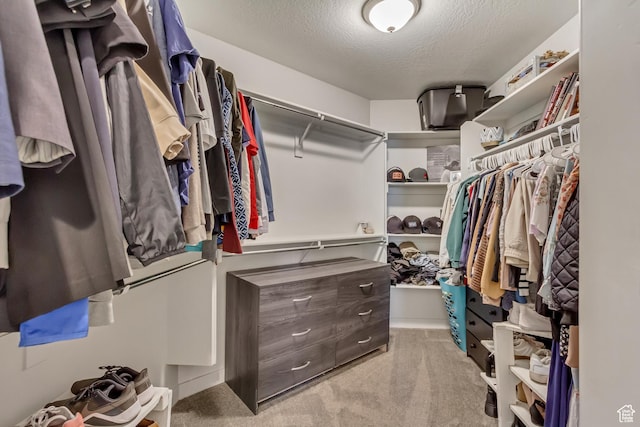 6393 N Pine Tree Way, Eagle Mountain, UT 84005 - walk in closet featuring carpet flooring