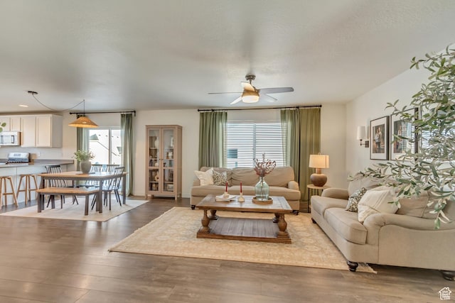 6393 N Pine Tree Way, Eagle Mountain, UT 84005 - living area with a textured ceiling, a wealth of natural light, wood finished floors, and ceiling fan
