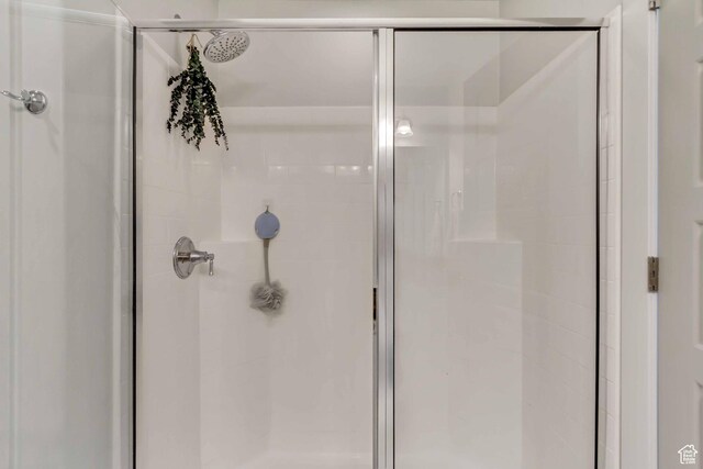 6393 N Pine Tree Way, Eagle Mountain, UT 84005 - bathroom with a stall shower