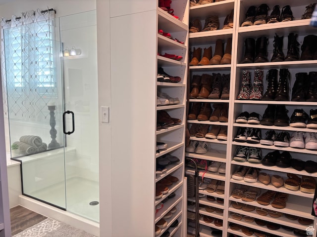 view of walk in closet