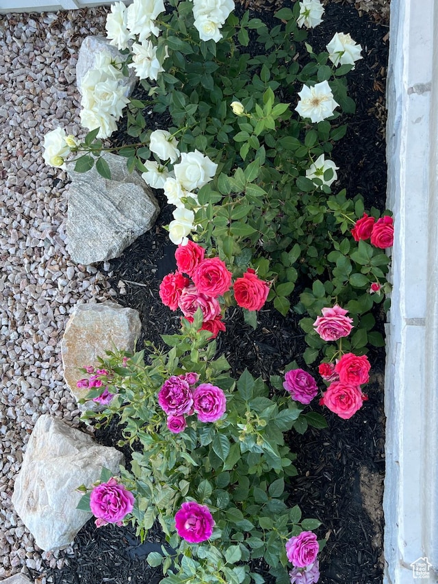 view of exterior details