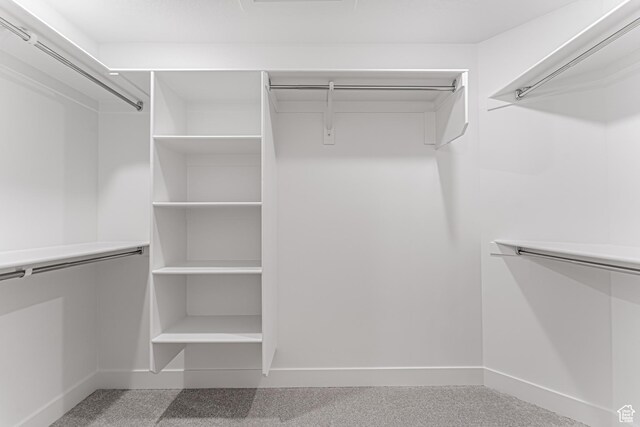 706 W 4500 S Unit 307, Mapleton, UT 84664 - view of walk in closet