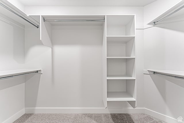 702 W 4500 S Unit 308, Mapleton, UT 84664 - walk in closet featuring carpet floors