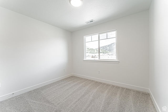 698 W 4500 S Unit 309, Mapleton, UT 84664 - empty room with light carpet and baseboards