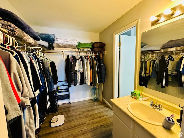 4110 S Oak Meadows Dr Unit 20, Taylorsville, UT 84123 - spacious closet featuring dark wood-style flooring and a sink