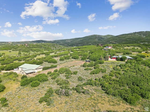 9036 Cottonwood Trl, Park City, UT 84098 - photo 5