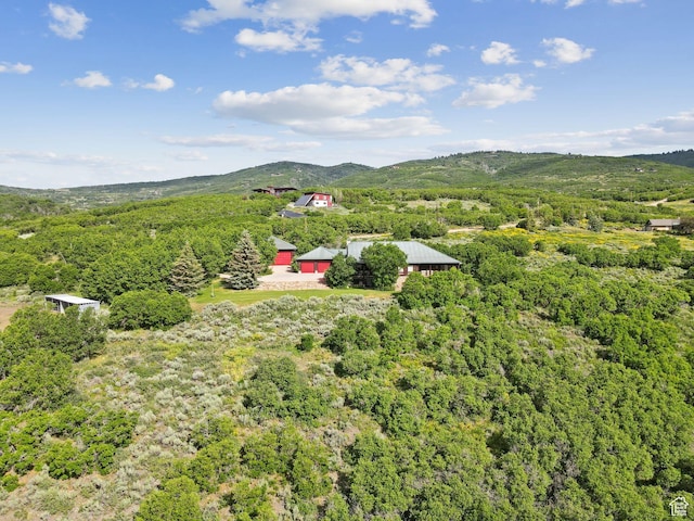 9036 Cottonwood Trl, Park City, UT 84098 - photo 70