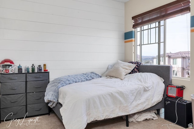 395 W Granite Dr, Washington, UT 84780 - bedroom with carpet floors and wooden walls
