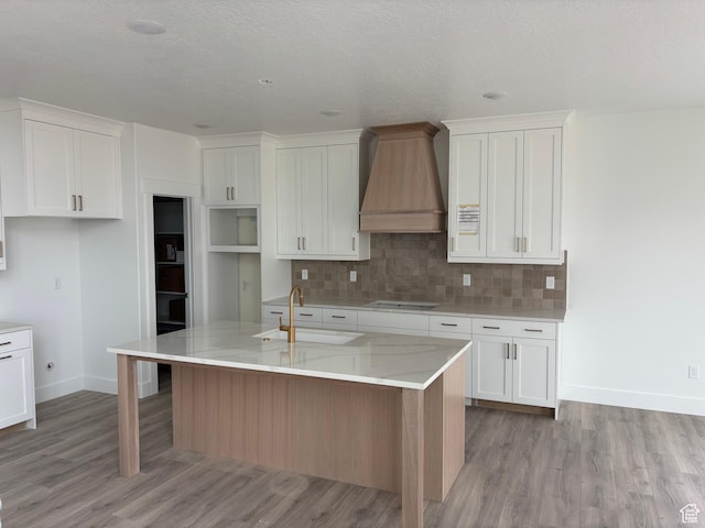 1678 S 130 W Unit 48, Salem, UT 84653 - kitchen with custom range hood, a sink, stovetop, and light wood-style floors