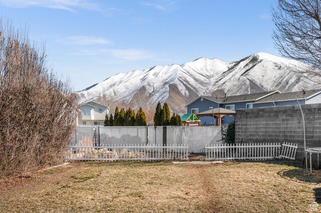 view of yard with a fenced backyard and a mountain view