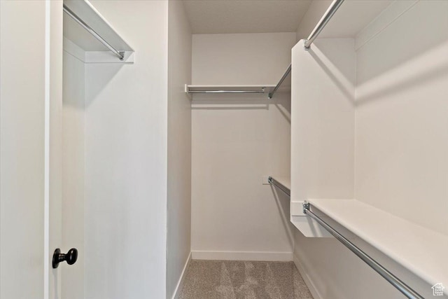 818 W 1100 N Unit 140, North Salt Lake, UT 84054 - walk in closet with carpet floors