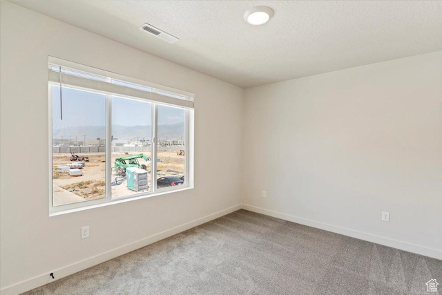 818 W 1100 N Unit 140, North Salt Lake, UT 84054 - carpeted empty room with baseboards and a textured ceiling