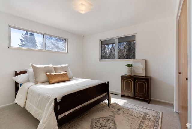 2047 N 1350 E, North Logan, UT 84341 - bedroom with multiple windows, light colored carpet, and baseboards
