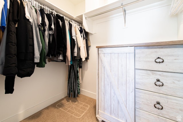 695 W Claystone Dr, St George, UT 84790 - walk in closet featuring carpet floors