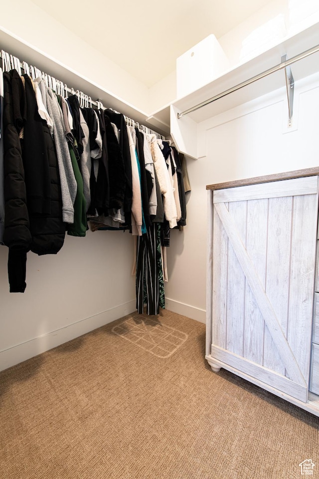 695 W Claystone Dr, St George, UT 84790 - walk in closet with carpet