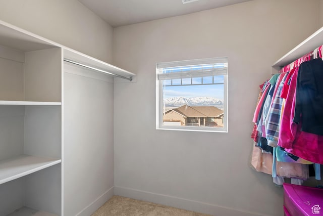 walk in closet featuring carpet flooring