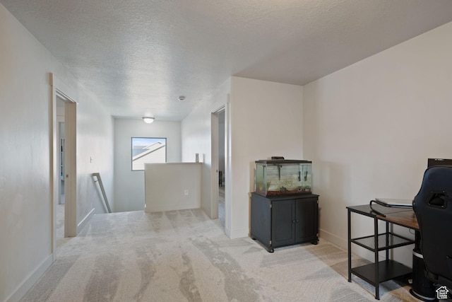interior space with carpet, baseboards, a textured ceiling, and an upstairs landing