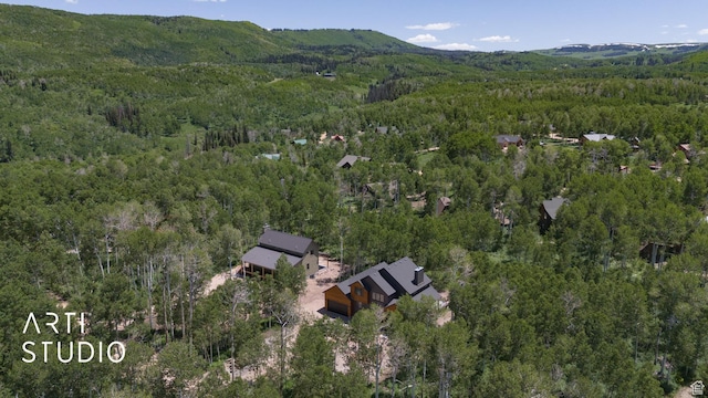 11472 E Marigold Ln, Heber City, UT 84032 - aerial overview of property's location featuring a forest and a mountain backdrop