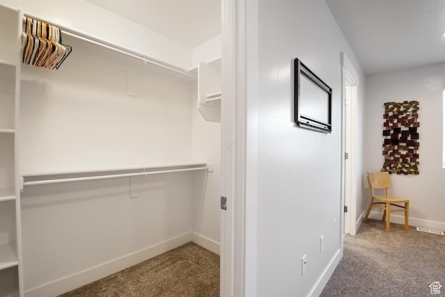 336 N 100 W, Morgan, UT 84050 - spacious closet featuring carpet floors and visible vents