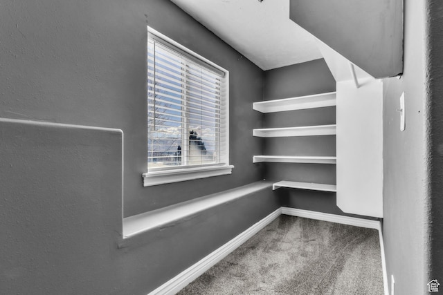 2172 S Dakota Ave, Provo, UT 84606 - walk in closet featuring carpet floors