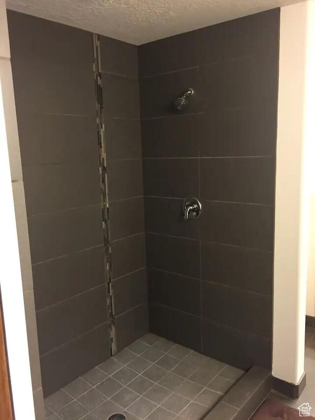6169 Park Ln Unit 9, Park City, UT 84098 - full bath with a textured ceiling and a shower stall