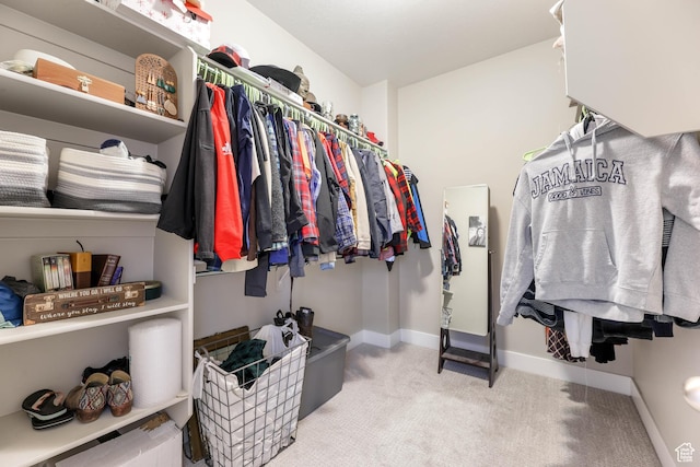 spacious closet with carpet flooring