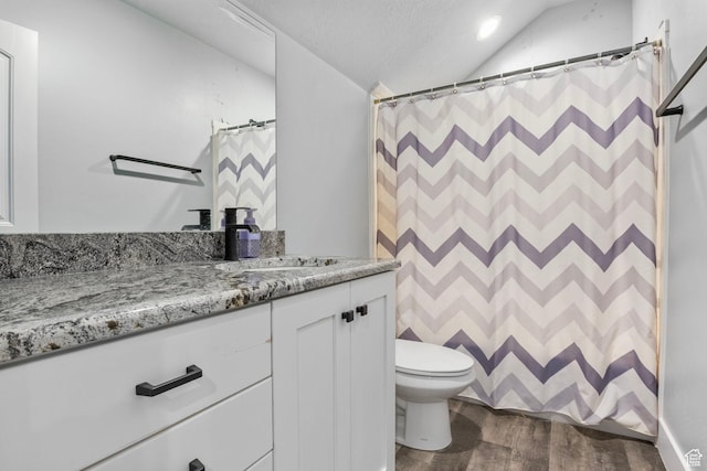 180 S Main St, Fayette, UT 84630 - bathroom with lofted ceiling, a textured ceiling, toilet, wood finished floors, and vanity