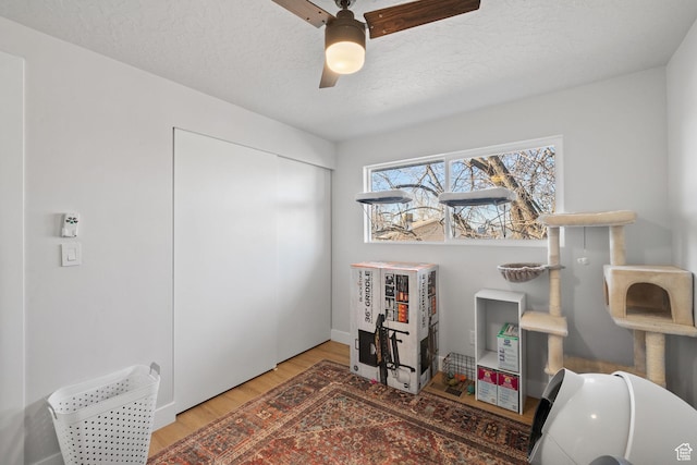 interior space featuring a textured ceiling, wood finished floors, and a ceiling fan