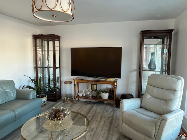 living area featuring wood finished floors