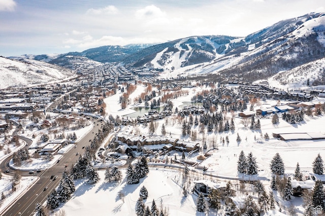 12 Thaynes Canyon Dr, Park City, UT 84060 - property view of mountains