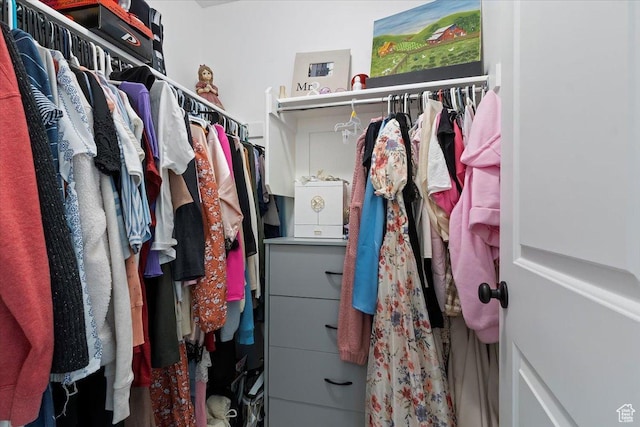 view of spacious closet