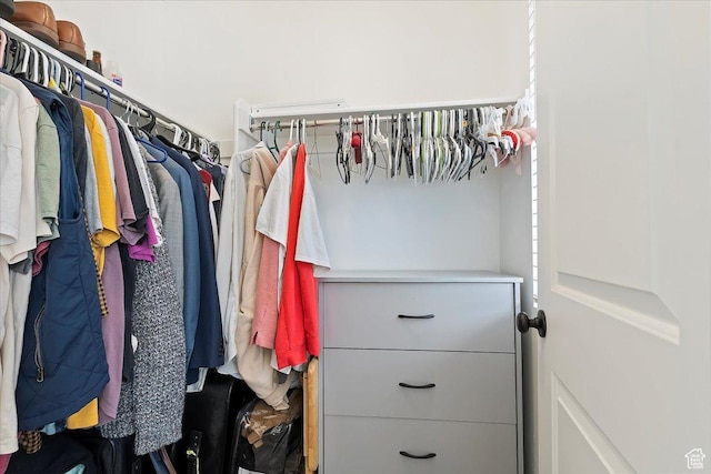 view of walk in closet