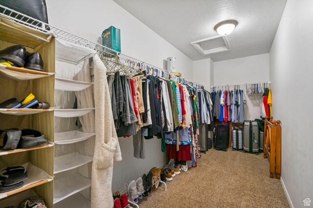 5906 Columbus Cir, Stansbury Park, UT 84074 - spacious closet featuring attic access and carpet floors