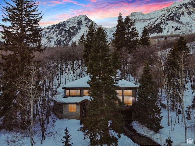 mountain view