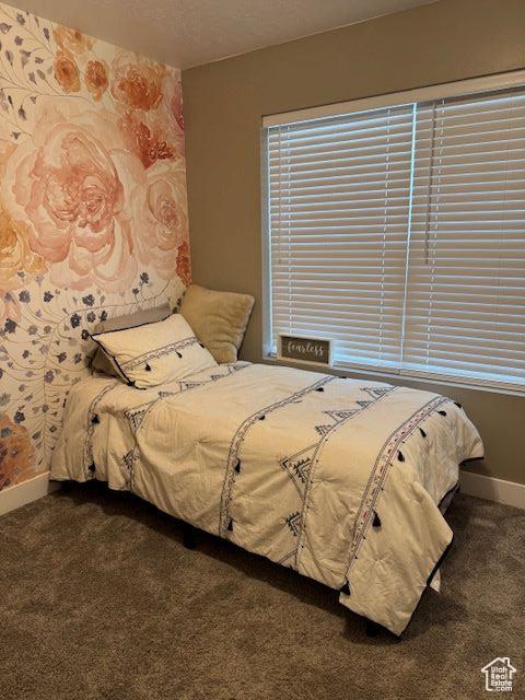 906 S 950 E, Ephraim, UT 84627 - bedroom with dark carpet and baseboards
