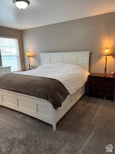 906 S 950 E, Ephraim, UT 84627 - bedroom featuring a textured ceiling and dark carpet