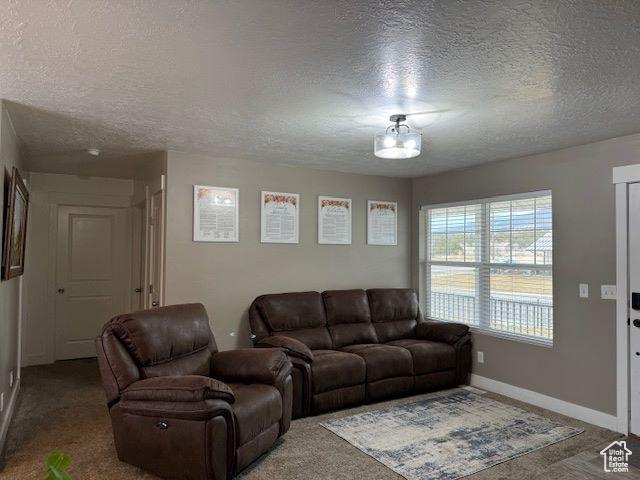 906 S 950 E, Ephraim, UT 84627 - carpeted living area featuring a textured ceiling and baseboards