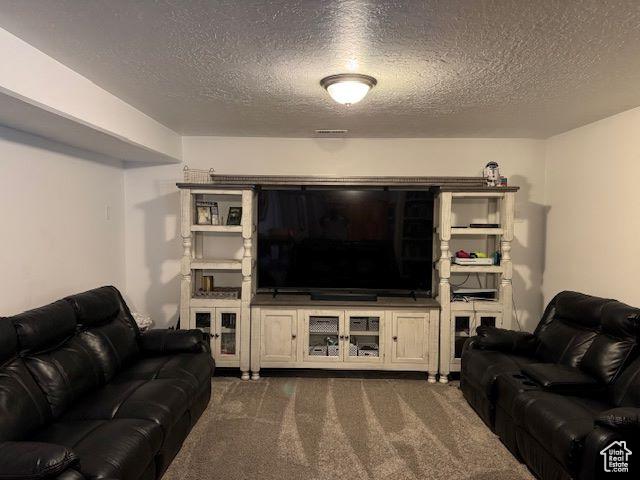 906 S 950 E, Ephraim, UT 84627 - living area with visible vents, dark colored carpet, and a textured ceiling