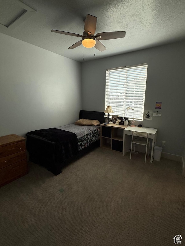 6274 N Vernon Dr E, Eagle Mountain, UT 84005 - bedroom with a ceiling fan, attic access, carpet flooring, and a textured ceiling